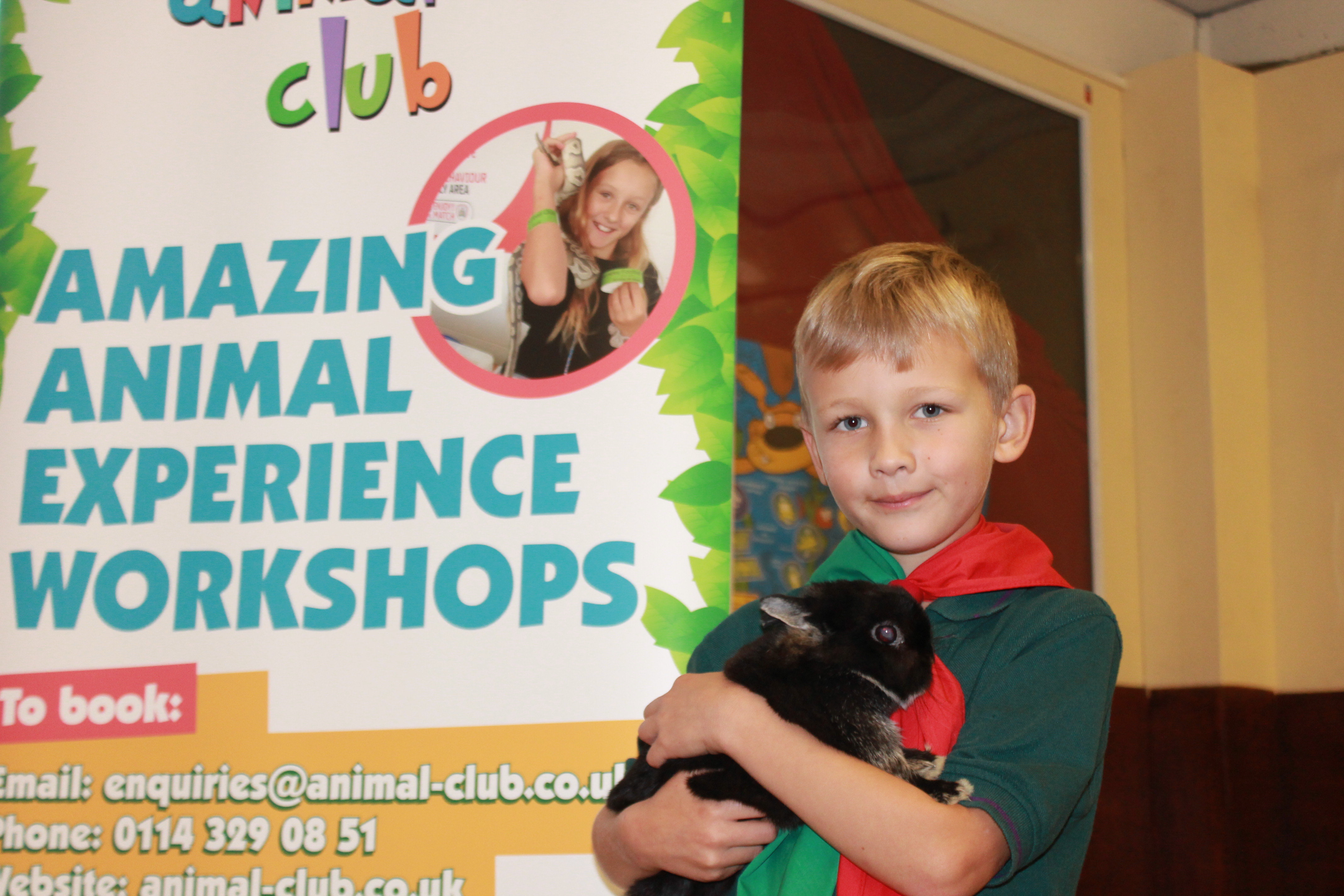 animal club school visits
