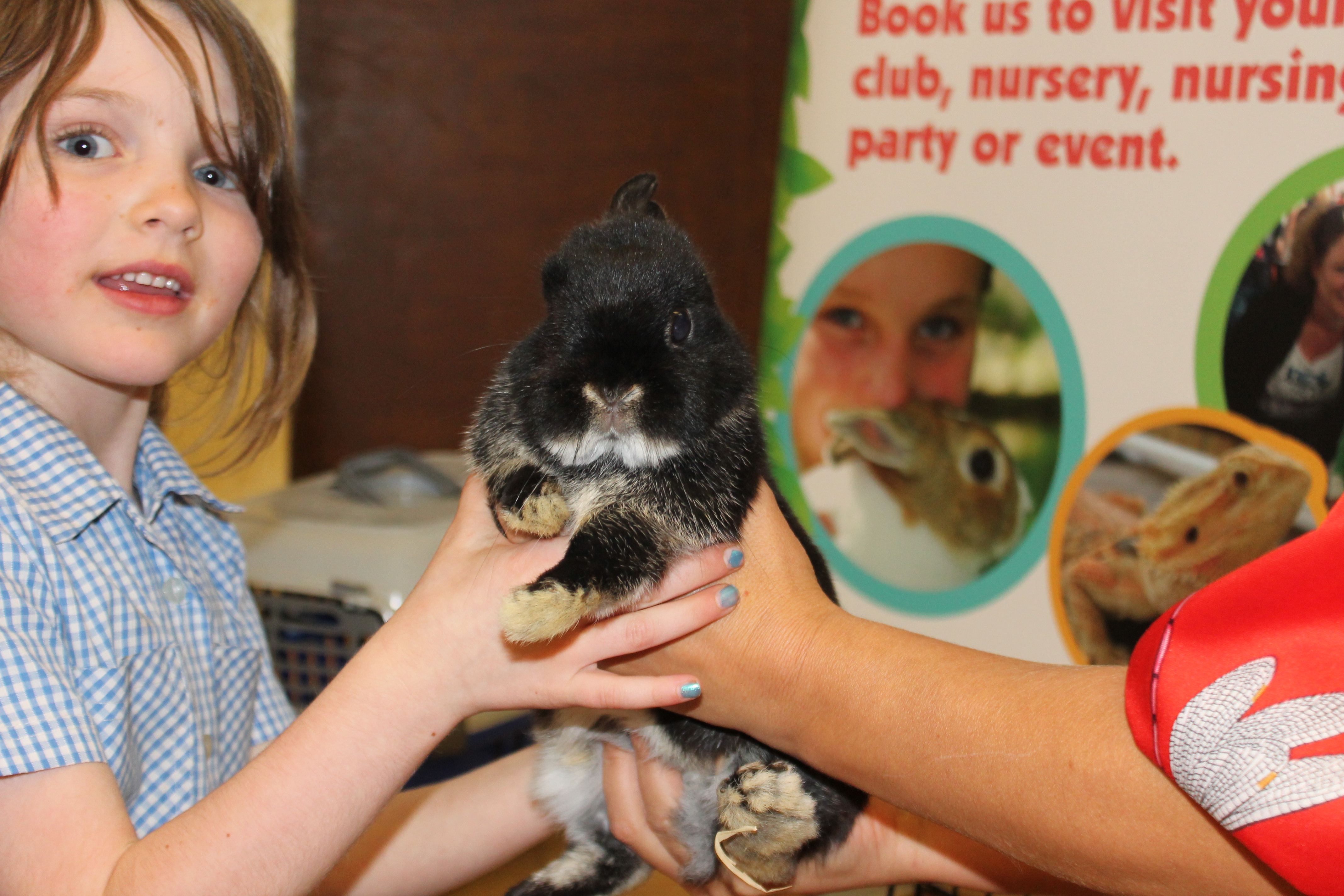 school visit with animals