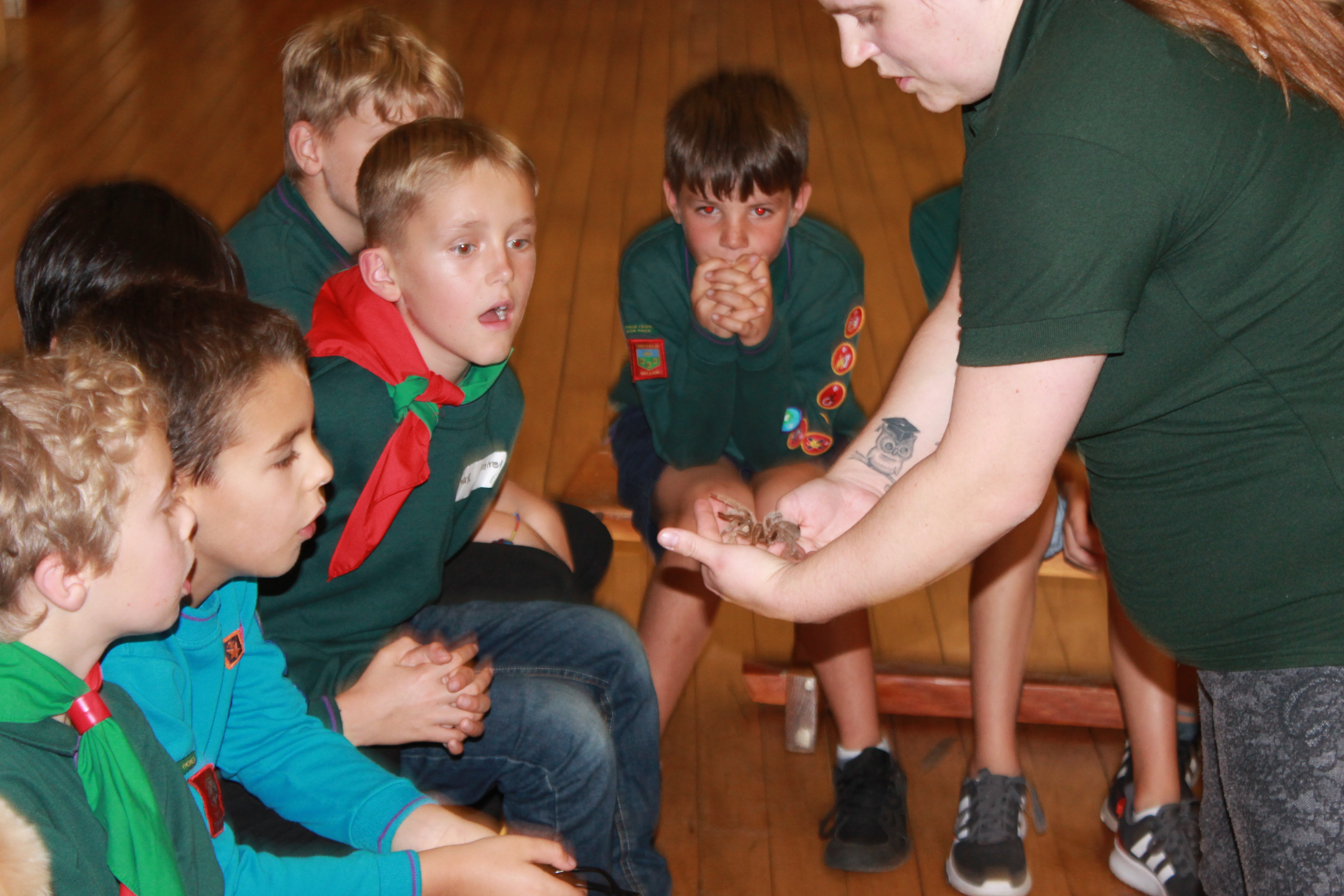 Animal Club animal schools visit South Yorkshire