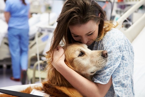 How Animal Therapy is Supporting the Healthcare Industry