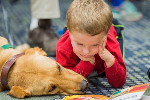 What is the significance of contact with animals for children's  development? 