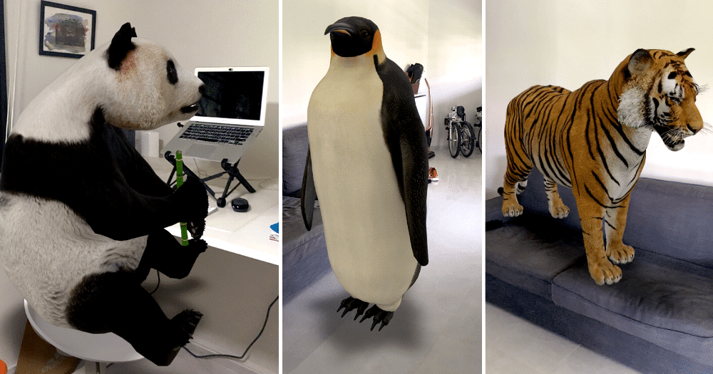 How to use Google 3D Animals to keep your children busy during quarantine?  