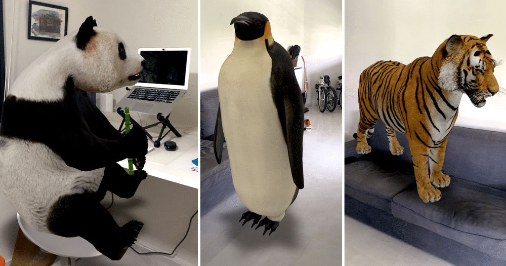 How to use Google 3D Animals to keep your children busy