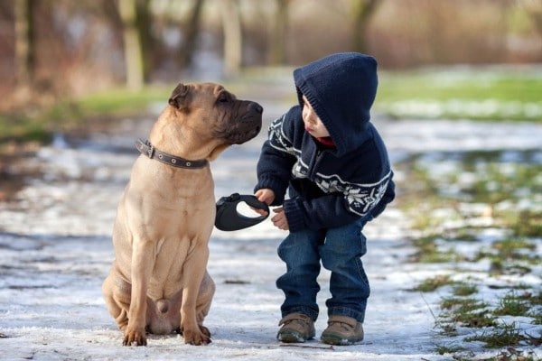 Benefits of having a pet for a child