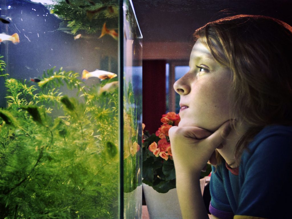 Importance of aquarium