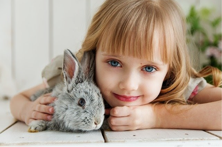 lifespan of pet rabbits
