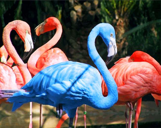 a-group-of-flamingos-is-shown-flipping-their-feathers-in-a-blue-color