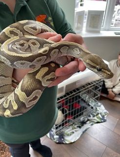 325f2d_bd3d7fb600b14e138c477fcb8