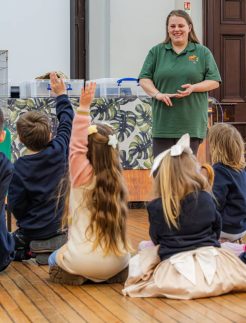 AC-Ranger-explain-plain-3