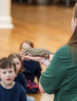 AC_Ranger_present_plain_1900