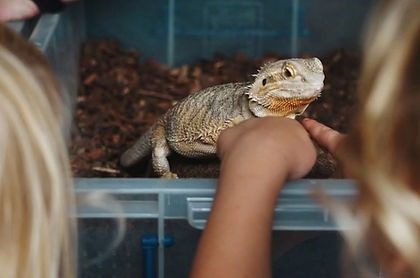 Movement-and-interaction